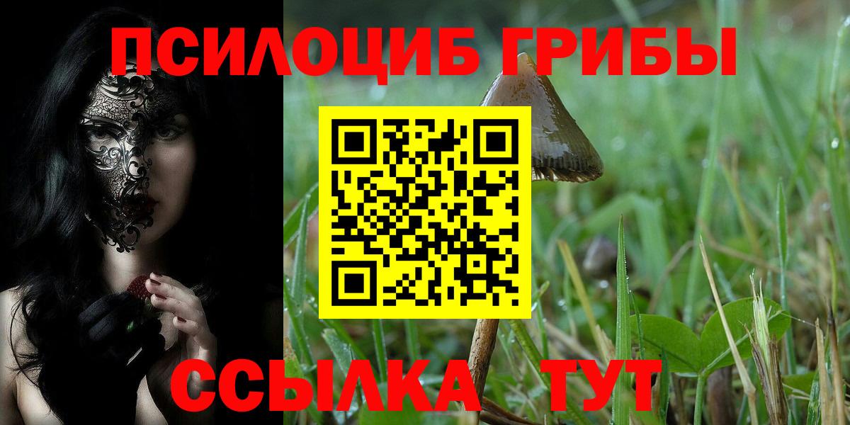 где купить   Псилоцибиновые грибы Psilocybine cubensis  Вход с VPN  Свободный 