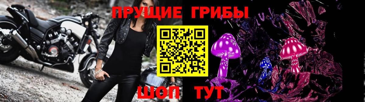 Псилоцибиновые грибы Psilocybine cubensis Свободный